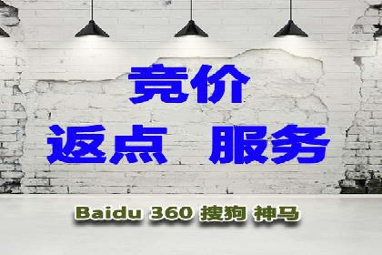 SEM竞价优化案例：品牌曝光与转化双提升